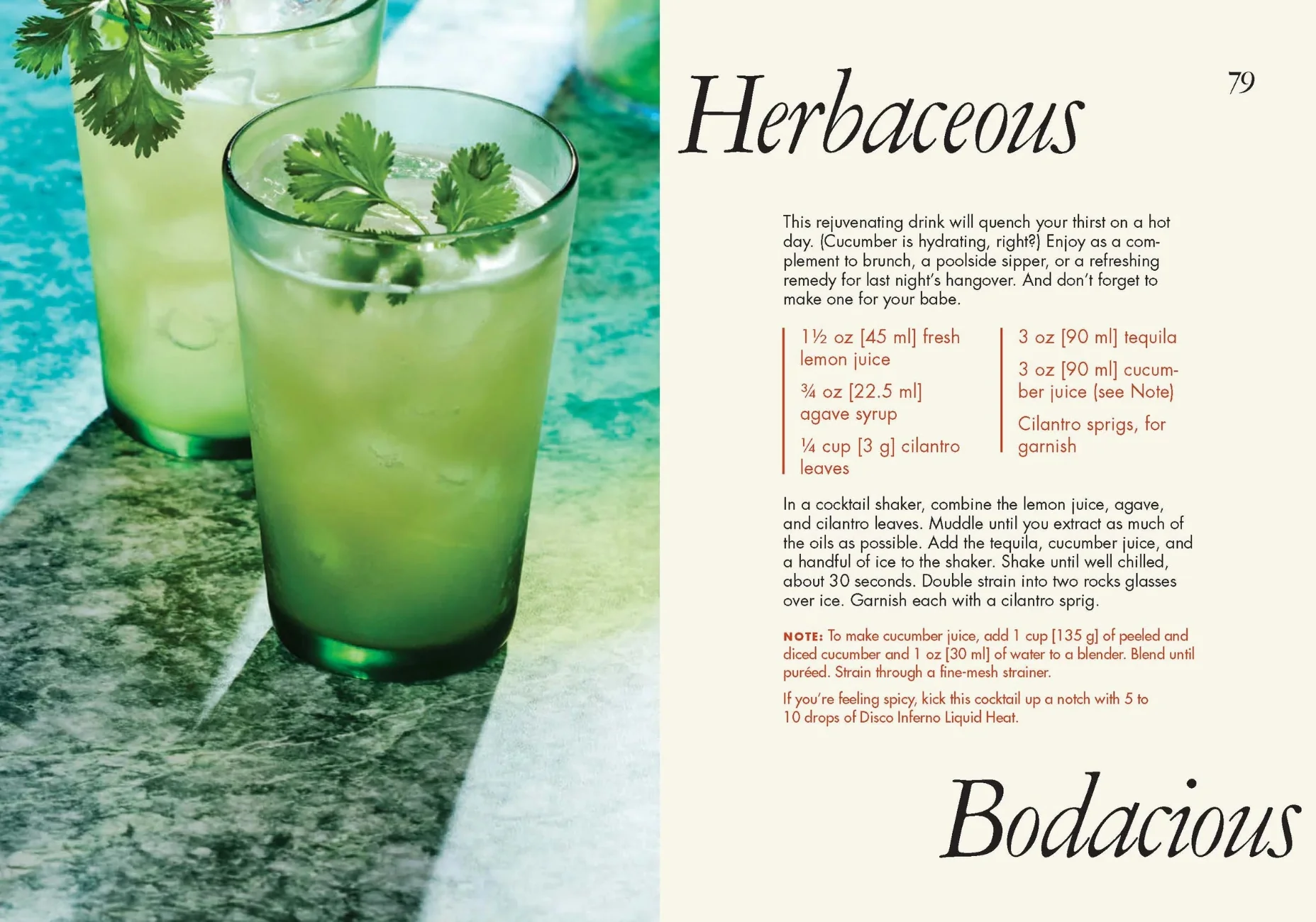 Kindred Spirits: Cocktail Recipes For Two - Image 5